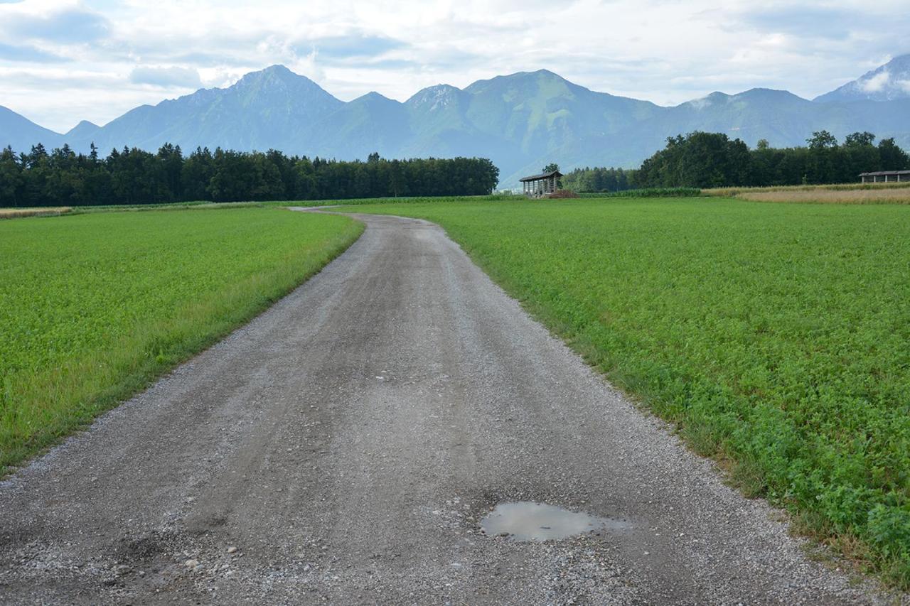 Apartma Vidmar เซนซูร์ ภายนอก รูปภาพ